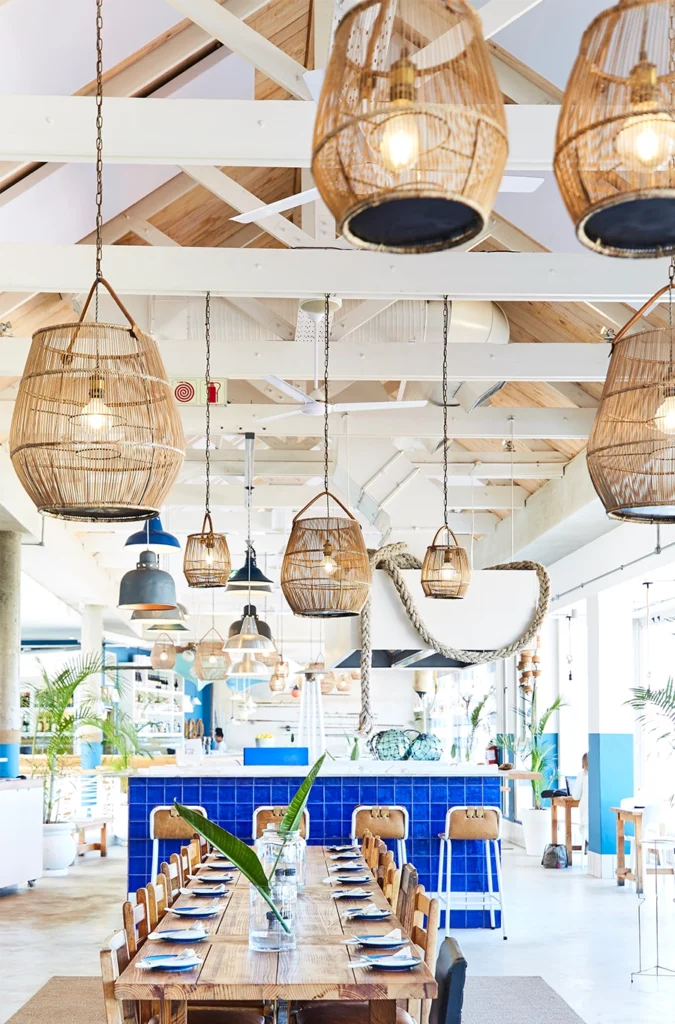 LIVE BAIT - MUIZENBERG
